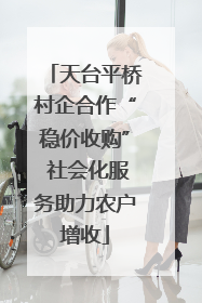 天台平桥村企合作“稳价收购” 社会化服务助力农户增收