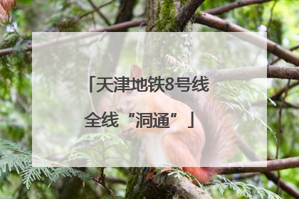 天津地铁8号线全线“洞通”