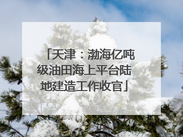 天津：渤海亿吨级油田海上平台陆地建造工作收官