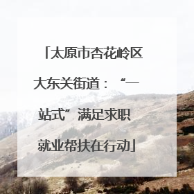 太原市杏花岭区大东关街道：“一站式”满足求职 就业帮扶在行动