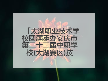 太湖职业技术学校圆满承办安庆市第二十二届中职学校(太湖赛区)技能大赛