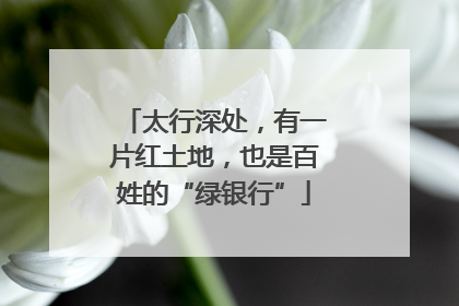 太行深处，有一片红土地，也是百姓的“绿银行”