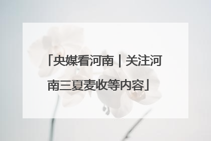 央媒看河南｜关注河南三夏麦收等内容
