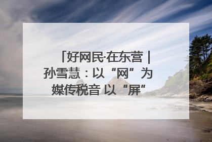 好网民·在东营｜孙雪慧：以“网”为媒传税音 以“屏”为介助发展
