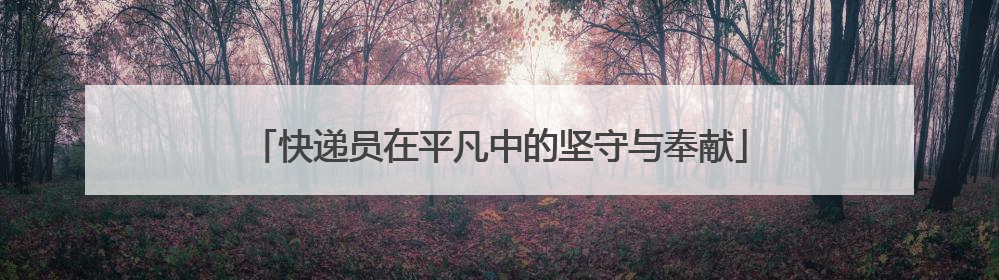 快递员在平凡中的坚守与奉献