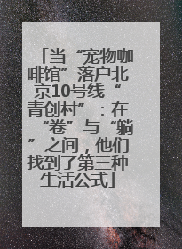 当“宠物咖啡馆”落户北京10号线“青创村”：在“卷”与“躺”之间，他们找到了第三种生活公式