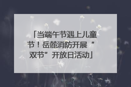 当端午节遇上儿童节！岳麓消防开展“双节”开放日活动