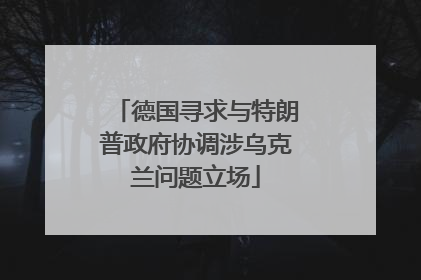 德国寻求与特朗普政府协调涉乌克兰问题立场
