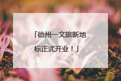 德州一文旅新地标正式开业！