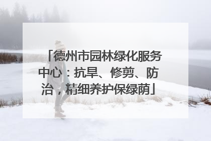 德州市园林绿化服务中心：抗旱、修剪、防治，精细养护保绿荫