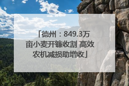 德州：849.3万亩小麦开镰收割 高效农机减损助增收
