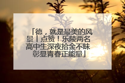 德，就是最美的风景丨点赞！乐陵两名高中生深夜拾金不昧 彰显青春正能量