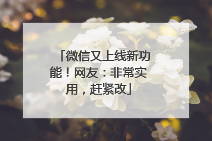 微信又上线新功能！网友：非常实用，赶紧改