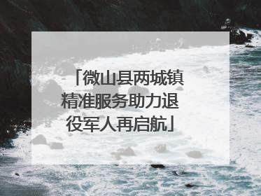 微山县两城镇精准服务助力退役军人再启航