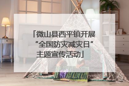 微山县西平镇开展“全国防灾减灾日”主题宣传活动