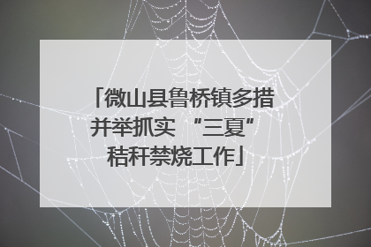 微山县鲁桥镇多措并举抓实 “三夏” 秸秆禁烧工作