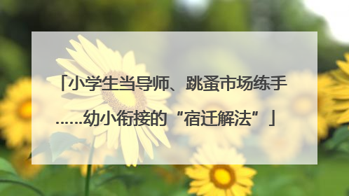 小学生当导师、跳蚤市场练手……幼小衔接的“宿迁解法”