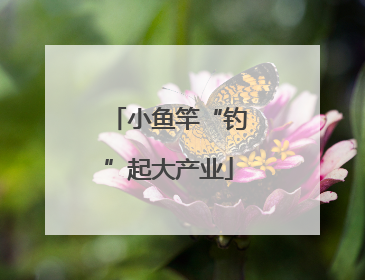 小鱼竿“钓”起大产业