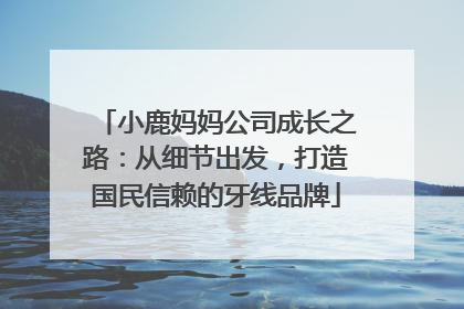 小鹿妈妈公司成长之路：从细节出发，打造国民信赖的牙线品牌
