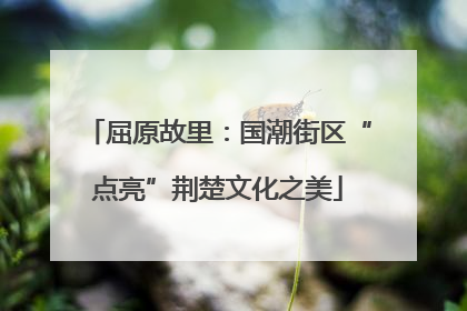 屈原故里：国潮街区“点亮”荆楚文化之美