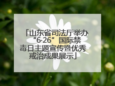 山东省司法厅举办“6·26”国际禁毒日主题宣传暨优秀戒治成果展示