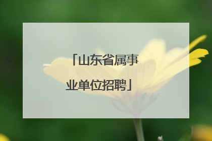 山东省属事业单位招聘