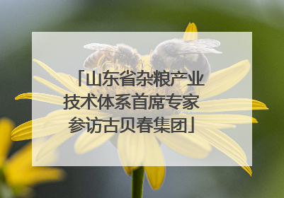 山东省杂粮产业技术体系首席专家参访古贝春集团