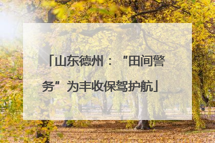 山东德州：“田间警务”为丰收保驾护航