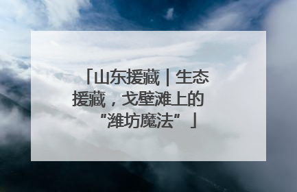 山东援藏｜生态援藏，戈壁滩上的“潍坊魔法”