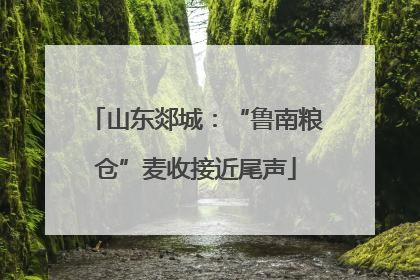山东郯城：“鲁南粮仓”麦收接近尾声