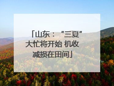 山东：“三夏”大忙将开始 机收减损在田间