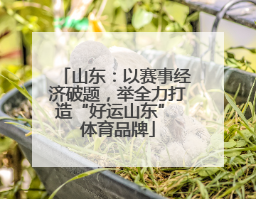山东：以赛事经济破题，举全力打造“好运山东” 体育品牌