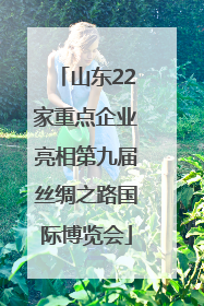 山东22家重点企业亮相第九届丝绸之路国际博览会