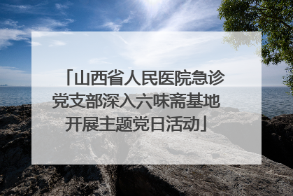 山西省人民医院急诊党支部深入六味斋基地开展主题党日活动
