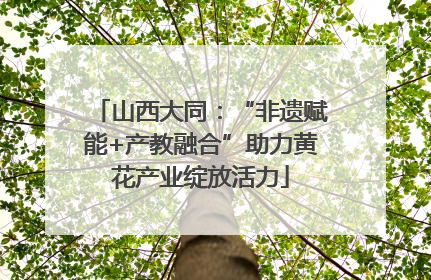 山西大同：“非遗赋能+产教融合”助力黄花产业绽放活力