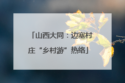 山西大同：边塞村庄“乡村游”热络