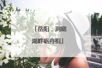 岳阳：洞庭湖畔砺舟楫