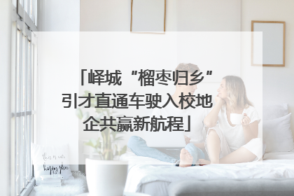 峄城“榴枣归乡”引才直通车驶入校地企共赢新航程