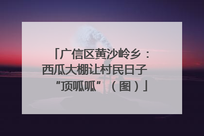 广信区黄沙岭乡：西瓜大棚让村民日子“顶呱呱”（图）