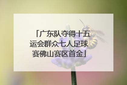 广东队夺得十五运会群众七人足球赛佛山赛区首金