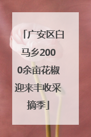 广安区白马乡2000余亩花椒迎来丰收采摘季