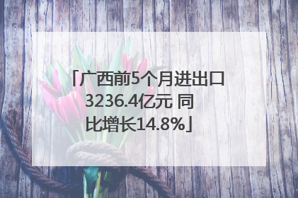 广西前5个月进出口3236.4亿元 同比增长14.8%