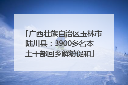 广西壮族自治区玉林市陆川县：3900多名本土干部回乡解纷促和