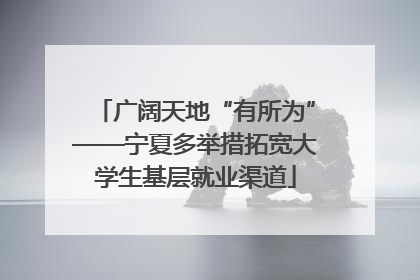 广阔天地“有所为”——宁夏多举措拓宽大学生基层就业渠道