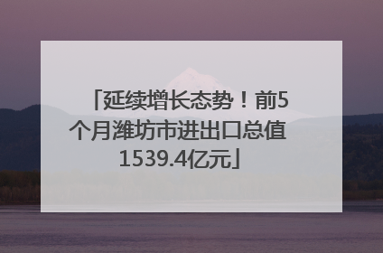 延续增长态势！前5个月潍坊市进出口总值1539.4亿元