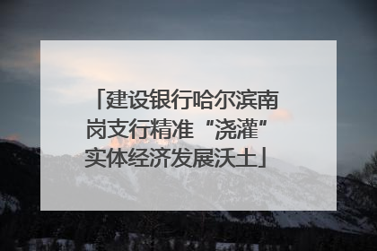 建设银行哈尔滨南岗支行精准“浇灌”实体经济发展沃土