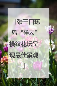 张三口环岛“祥云”模纹花坛呈现最佳景观