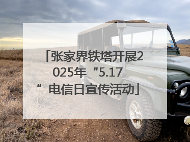 张家界铁塔开展2025年“5.17”电信日宣传活动