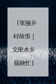 张掖乡村故事｜戈壁水乡插秧忙