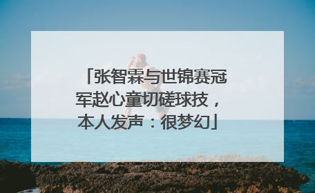 张智霖与世锦赛冠军赵心童切磋球技，本人发声：很梦幻